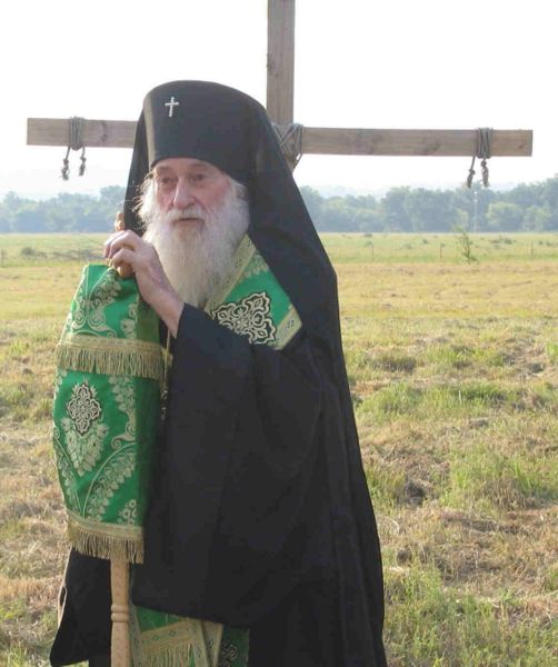 File:Arb. Dmitri 3.JPG