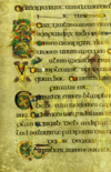 Bookofkells.gif